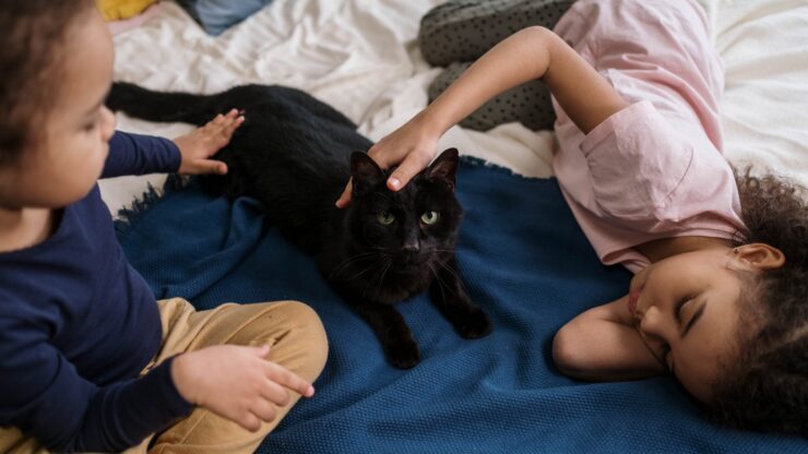 Human-animal bonding with a cat and children