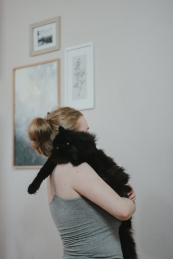 Human-animal bonding with cat